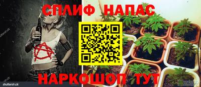 круглые Берёзовский
