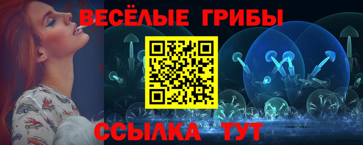 Псилоцибиновые грибы Cubensis  Вход с VPN  Псилоцибиновые грибы MAGIC MUSHROOMS  Изобильный 